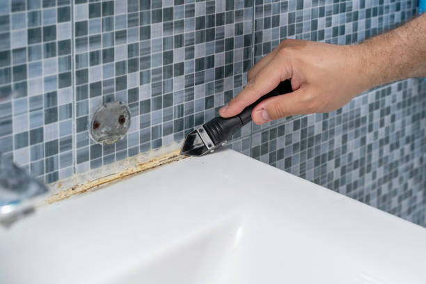 Henagar, AL Mold Remediation Company